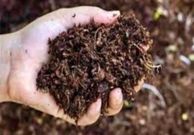 Farmers warn of protest over black marketing of fertilisers in Odisha