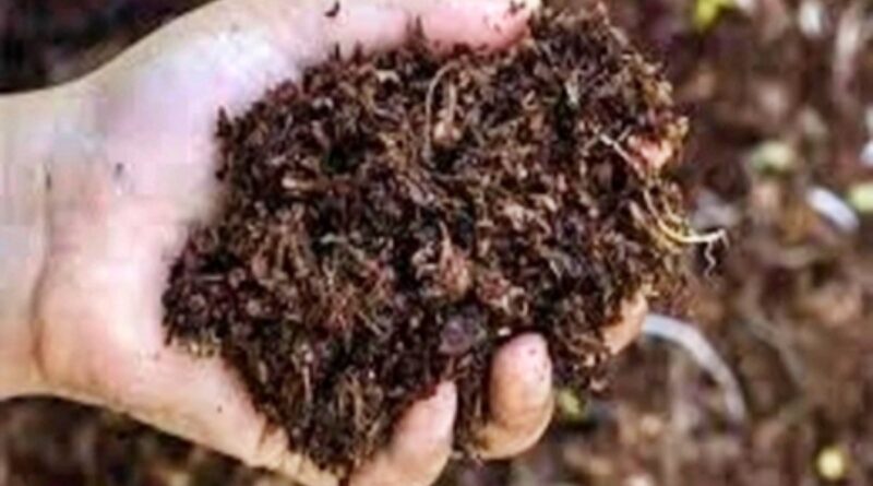 Farmers warn of protest over black marketing of fertilisers in Odisha