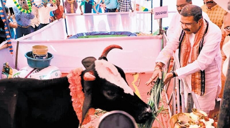 Government focus on improving lives of poor people, says Union Education Minister Pradhan