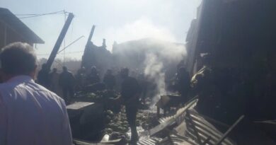 Army helicopter crashes in central Iran, killing four: State media