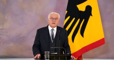 Breach of international law’: German president Steinmeier on US-Israeli war on Iran