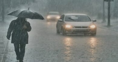 Unseasonal rain hits Gujarat, disrupts daily life