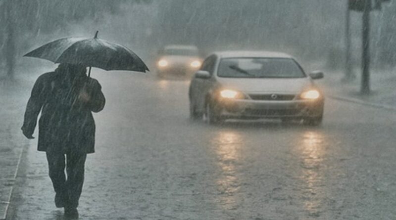 Unseasonal rain hits Gujarat, disrupts daily life