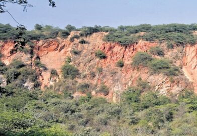 Environment ministry endorses names of 10-member expert committee set up to define Aravalli hills