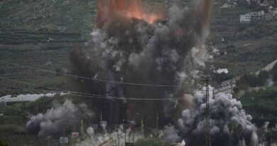 Israel army confirms own artillery fire killed civilian on northern border