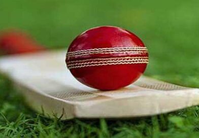 Misogynist XI vs. Ruthless Indian (Warriors) — A corporate T20 match in a domestic Noida tournament