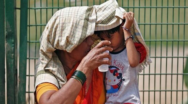 Odisha govt confirms three heat wave deaths in the state