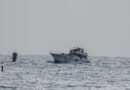 First of hundreds of detained Gaza flotilla activists arrive in 