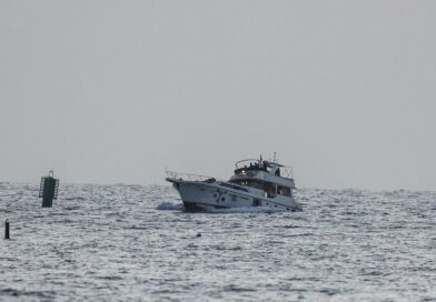 First of hundreds of detained Gaza flotilla activists arrive in 
