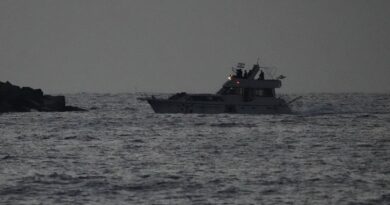 Israel begins deporting hundreds of international flotilla activists