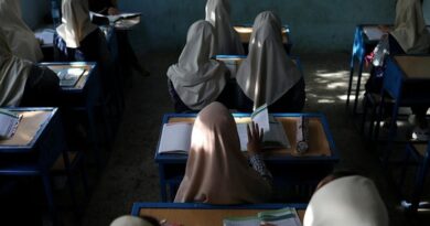 What happened to Afghanistan’s female academics?