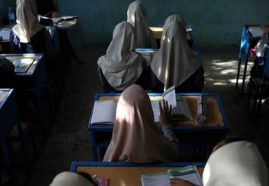 What happened to Afghanistan’s female academics?