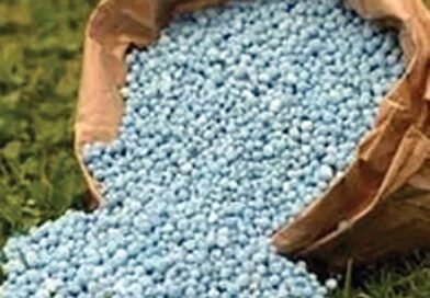 No fertiliser to retailers before PACS quota is met: Odisha govt