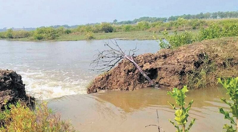 1,500-acre farmland inundated as tidal waves breach embankment in Kendrapara