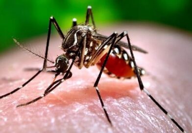 Malaria claims life of another school student in Odisha’s Rayagada district