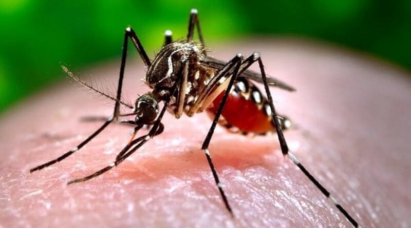 Malaria claims life of another school student in Odisha’s Rayagada district