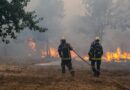 Wildfire leads to evacuations in some suburbs of the French city of Bordeaux