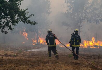 Wildfire leads to evacuations in some suburbs of the French city of Bordeaux
