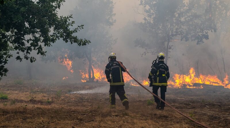 Wildfire leads to evacuations in some suburbs of the French city of Bordeaux