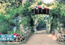 Odisha govt nod for Ama Similipal Yojana, 200 peripheral villages to benefit