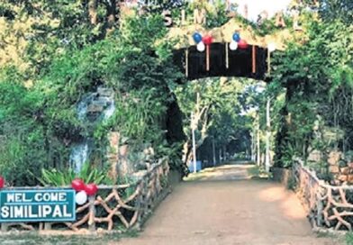 Odisha govt nod for Ama Similipal Yojana, 200 peripheral villages to benefit