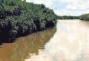 Bhitarkanika reopens after three months