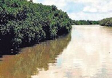 Bhitarkanika reopens after three months