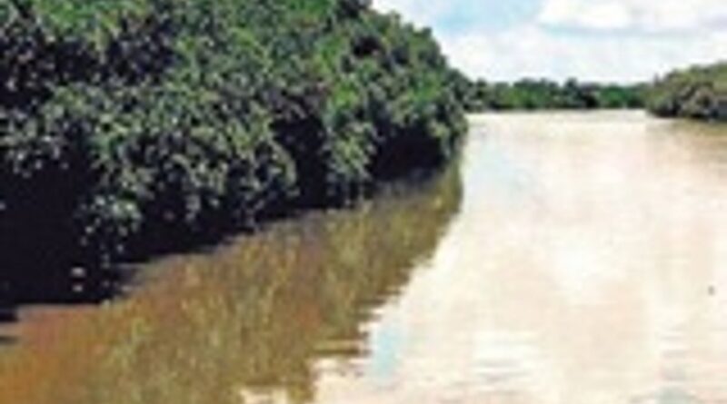 Bhitarkanika reopens after three months