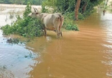 10 coastal districts put on alert as Hirakud water reaches Mundali