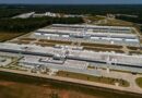 AI could pose ‘existential risk to humanity’: UN rights chief