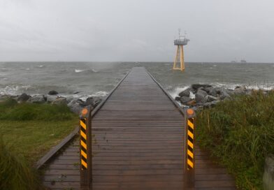 Isaias makes landfall as hurricane, hammering US Gulf Coast with powerful winds, dangerous 