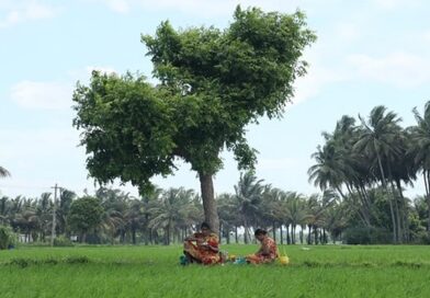 El Nino: India’s farmers face prolonged heat stress, health risks