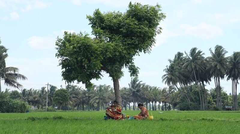 El Nino: India’s farmers face prolonged heat stress, health risks
